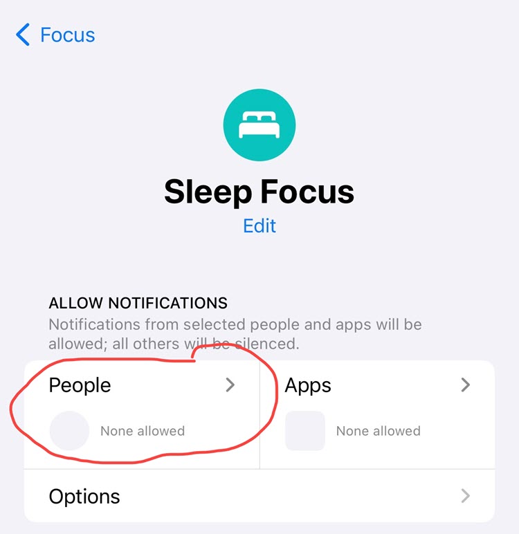how to make my apple watch vibrate on silent step 3